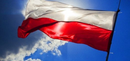 Introduction of Polish language on the site